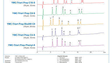 Improve your GLP-1 purification with YMC