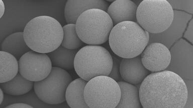 Higher flow rates and higher productivity with BioPro IEX