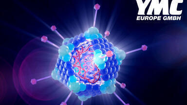 Your Solution for the Purification of AAVs