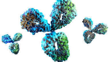 Native IEX-MS analysis of monoclonal antibodies using YMC Accura BioPro IEX SF columns