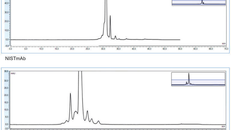 Fig. 2: Chromatograms obtained for NISTmAb (top) and trastuzumab (bottom) using the YMC Accura BioPro IEX SF column detected with UV.