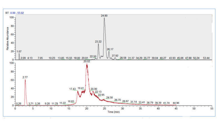 Figure 3: TICs of the analysis of trastuzumab using a YMC Accura BioPro IEX SF column (top) and the corresponding PEEK column (bottom) obtained on different HPLC systems.
