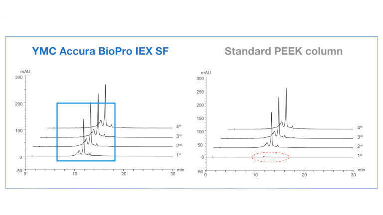 Figure 2: Comparison of the analysis of bevacizumab using the bioinert coated YMC Accura BioPro IEX SF column (left) and the corresponding PEEK column (right)