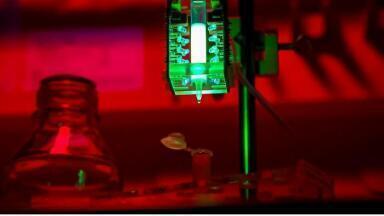Video: A gentler and more efficient method to purify proteins with ultraviolet light
