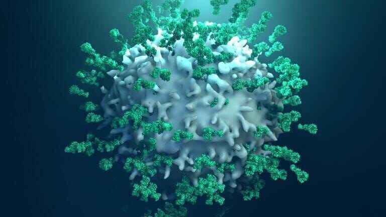 Improved DBC for the Purification of Large Biomolecules