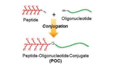 High sensitivity purity analysis of peptide-oligonucleotide conjugates