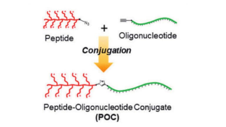 High sensitivity purity analysis of peptide-oligonucleotide conjugates