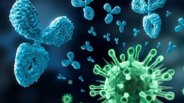 Whitepaper Highlight: Rethinking Antibody Purification