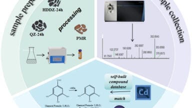 Journal Watch: On-line identification of chemical constituents in Polygoni Multiflori Radix and Polygoni Multiflori Radix Praeparata based on UHPLC-Q-Orbitrap-Linear Ion Trap-MS