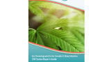 Buyer’s guide shows cannabis and hemp producers how to bring GC testing in-house