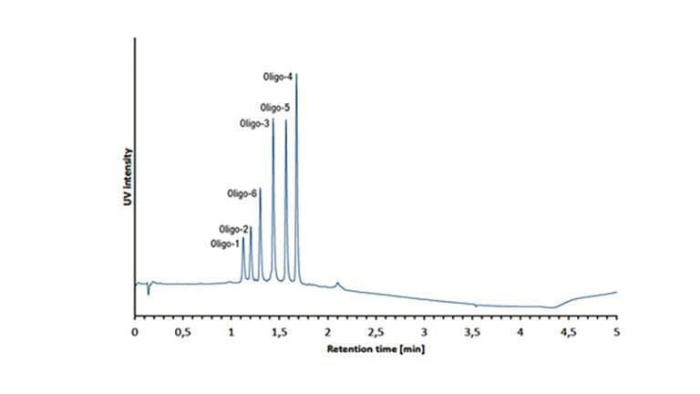 Figure 2: Ultra-fast separation of six oligonucleotides using a YMC Accura BioPro IEX QF column.