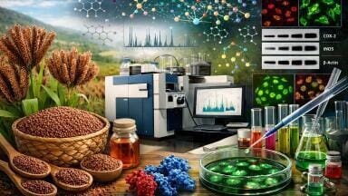 Journal Watch: Rapid chemical characterization of finger millet using UHPLC-Q-Exactive orbitrap MS coupled with based via Feature-Based molecular networking and PRM