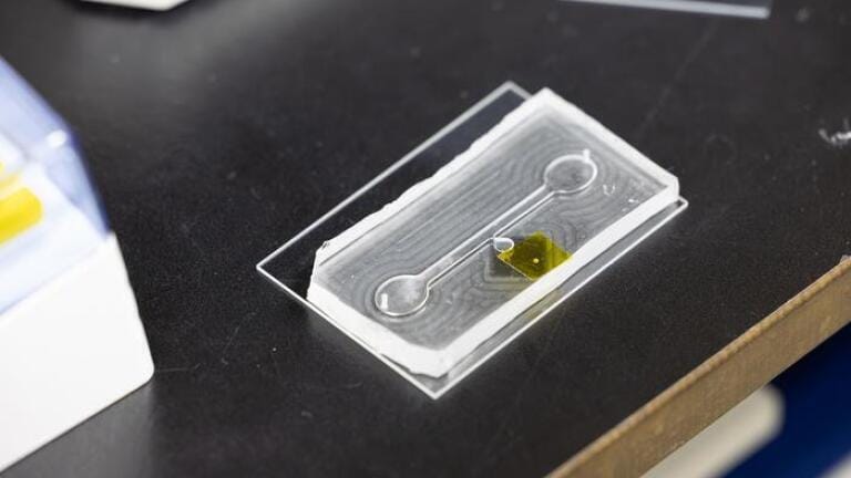 Pollutants extracted within the microfluidic chips. Credit: Korea Research Institute of Chemical Technology(KRICT)