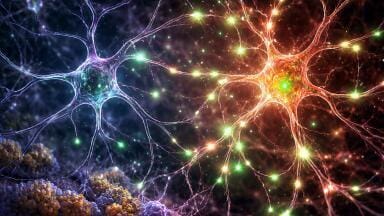 LC-MS shows cancer drug could reverse synaptic damage in early Alzheimer’s