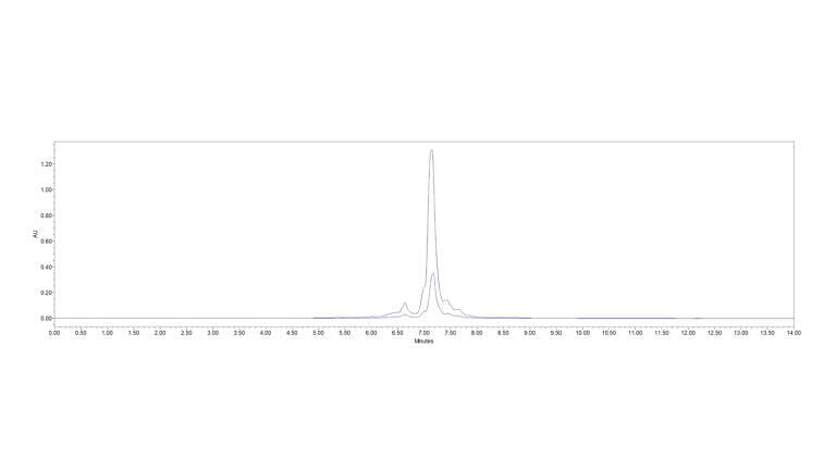 Highly efficient analysis of sgRNA and its impurities