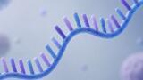 Reliable evaluation of mRNA capping efficiency