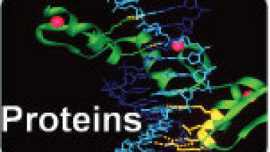 See the wood in the trees! Uncover low abundance proteins and biomarkers!
