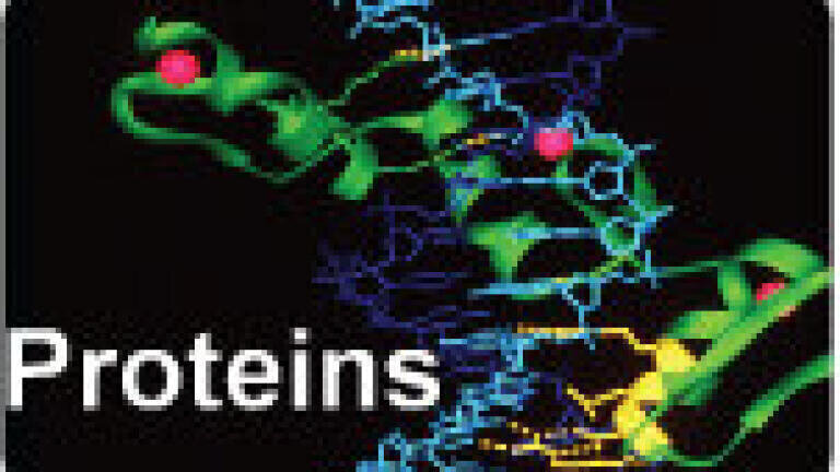 See the wood in the trees! Uncover low abundance proteins and biomarkers!