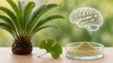 Journal Watch: HPLC – diode array detection method validation for amentoflavone-type biflavonoids in five Encephalartos species with potential neuroprotective activity