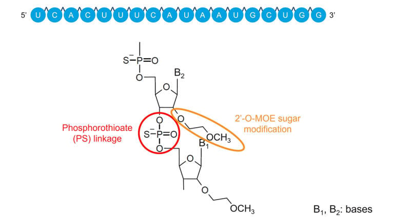 Figure 1: Structure of nusinersen showing the PS linkage and sugar modifications.
