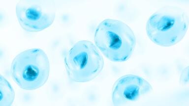 Labmate Online