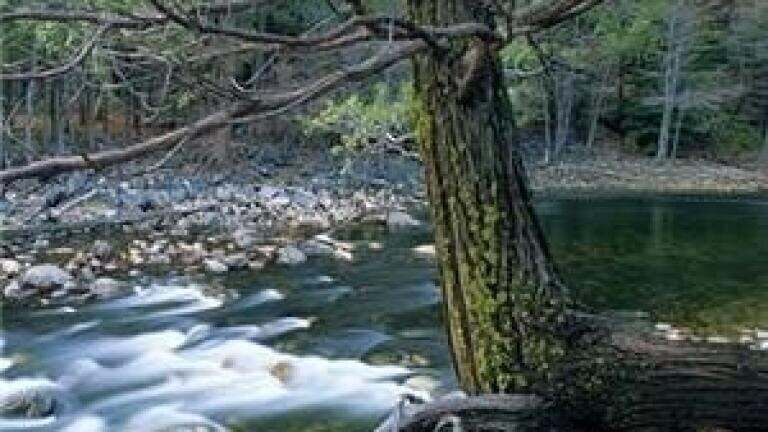 Radioactive contamination found in New Jersey water