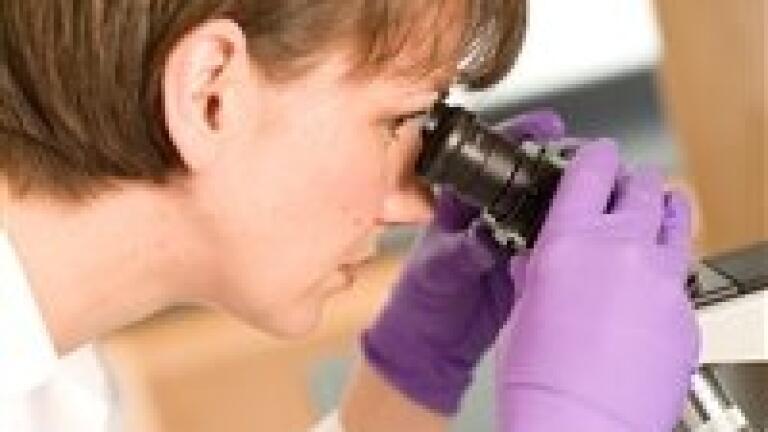 New HPLC Columns for Ion-Exchange Chromatography