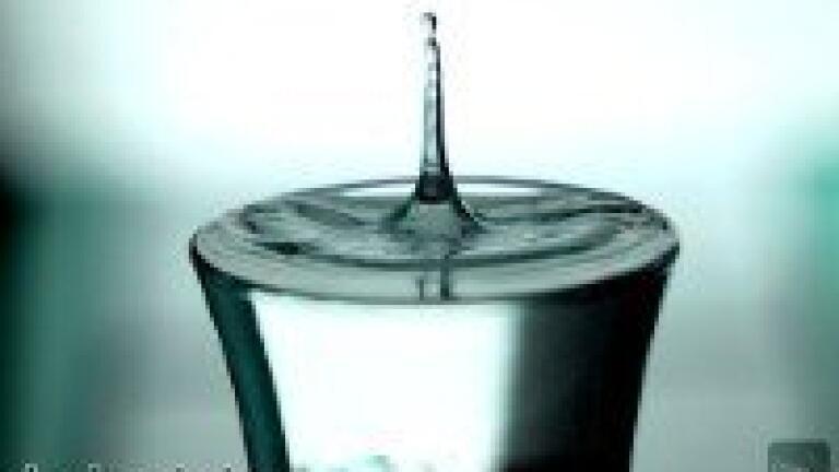 Ion Chromatography High-Resolution Separations of Organic Acids in Beer Samples