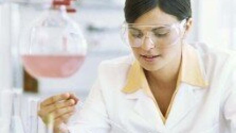 Improved Determination of Benzo(a)pyrene in Meat Products